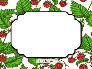 Strawberry Free Printable Labels, 3x4 inch Name Tag
