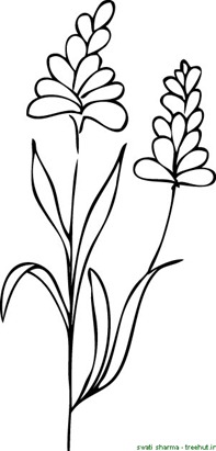Flowers in a bunch coloring page