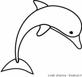 happy dolphin colouring page art therapy