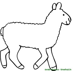 farm animal sheep coloring page