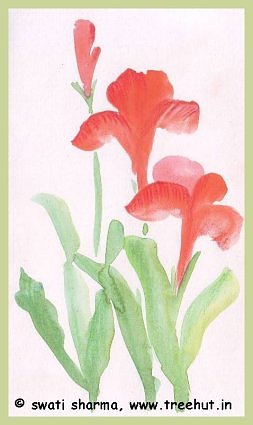 Canna flowers in water color art idea