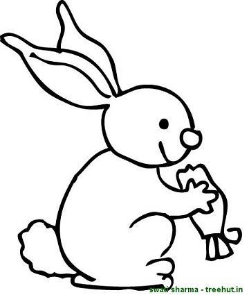 Rabbit eating carrot coloring sheet