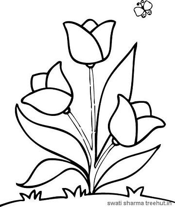 tulips flowers coloring pages