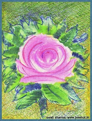 watercolor flowers rose