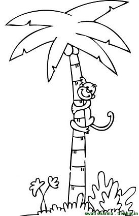 monkey climbing coconut tree coloring page