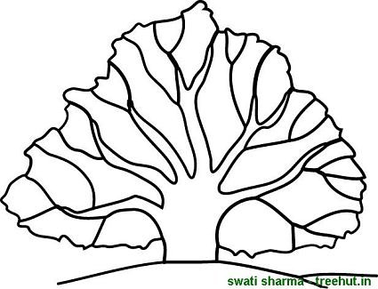 peepal tree coloring page