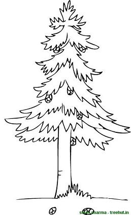 pine cone on tree coloring page