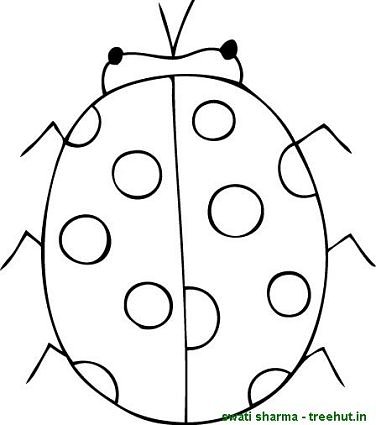 ladybug coloring page for kids