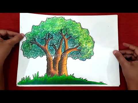 50+ Trees Drawing Ideas for Grade 4 and 5