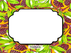 Pomegranate Free Printable Labels, 3x4 inch Name Tag 