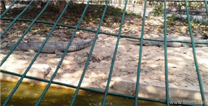 The Lucknow Zoo