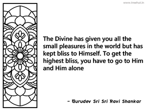 The Divine has given you all the small... Inspirational Quote by Gurudev Sri Sri Ravi Shankar